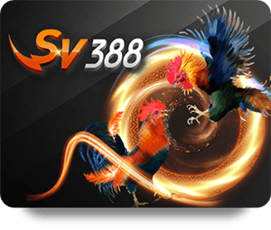 Exploring New Updates in ZingPlay Top Bet